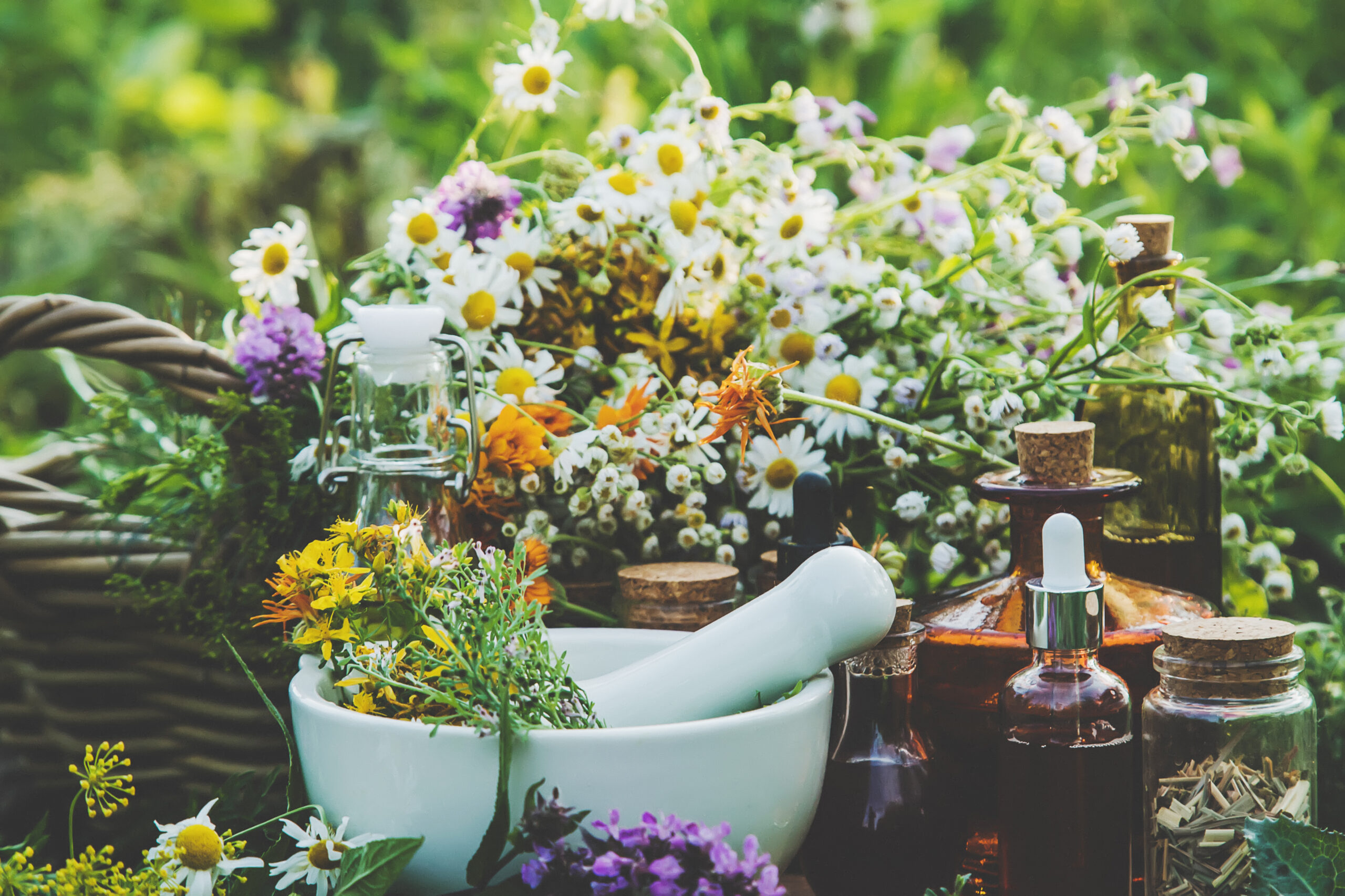 Cultivar la tierra, sentir la tierra: Los huertos ecológicos de Valdín