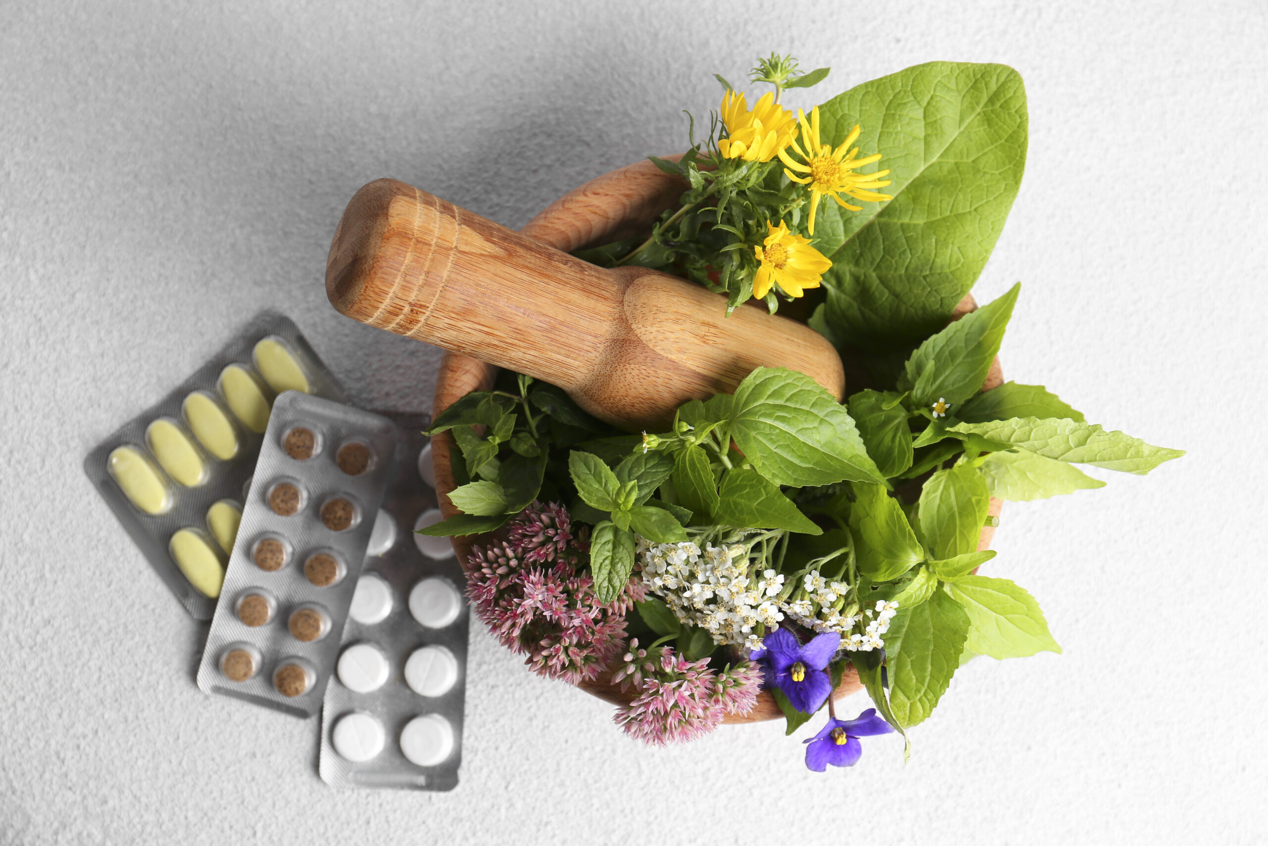 Plantas medicinales y fitoterapia