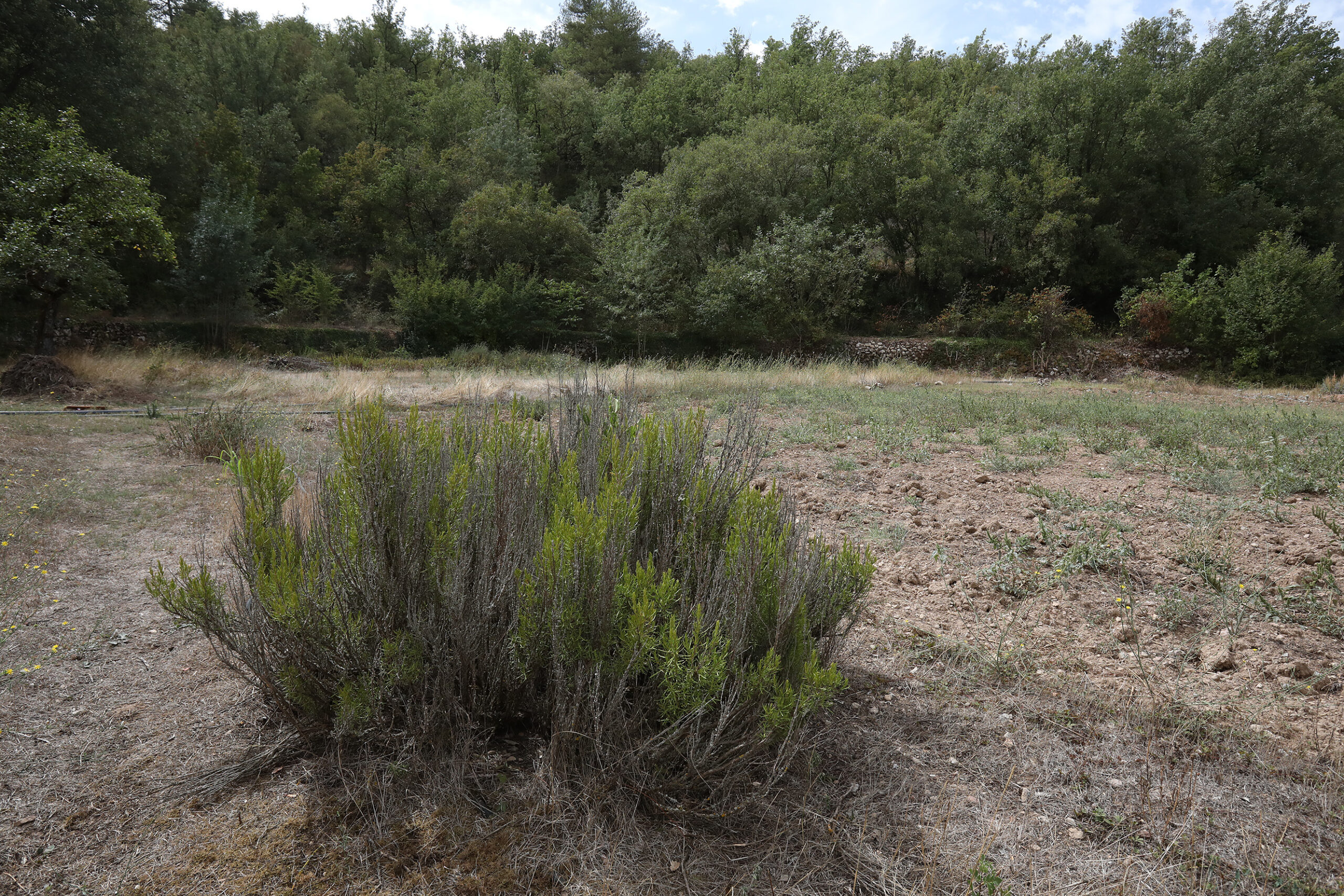Paisaje natural de Valdín